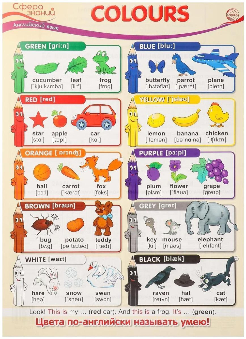 Плакат А3 Colours (Цвета)