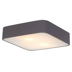 Накладной светильник Arte Lamp A7210PL-2BK
