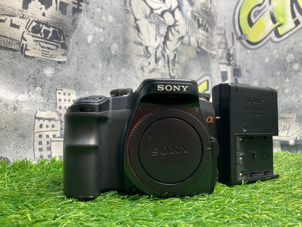 Sony A100