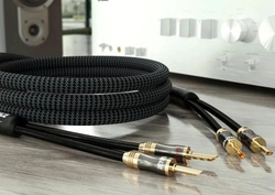 Кабель акустический Ricable Magnus Speaker MKII 2 x 2 m
