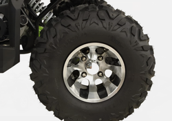 Квадроцикл Grizzly 200 Premium