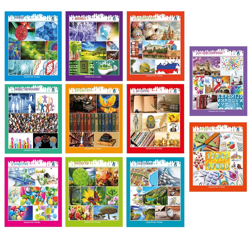 Комплект предметных тетрадей А5 48л., 12 предметов, со справочным материалом, скрепка, мелова. картон (стандарт), блок офсет, Alingar "Мир вокруг нас"
