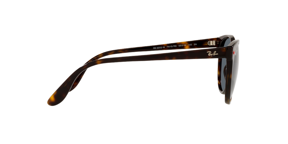 RAY-BAN RB2202M F613R5