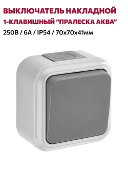 Выключатель 1-клавишный, накладной "ПРАЛЕСКА АКВА", серый
