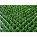 Щетинистое входное покрытие «Травка»