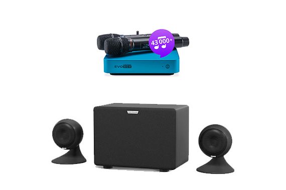 Комплект караоке Evolution Evobox Plus [Ocean] + стереосистема EvoSound Sphere + годовая подписка на обновления