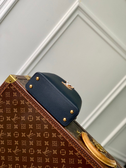 Louis Vuitton Capucines Mini