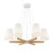 Подвесная люстра Freya Arellano FR8019PL-06W