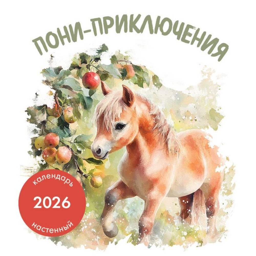 Пони-приключения