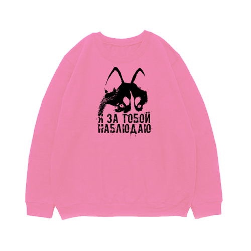 Свитшот "Я за тобой наблюдаю"