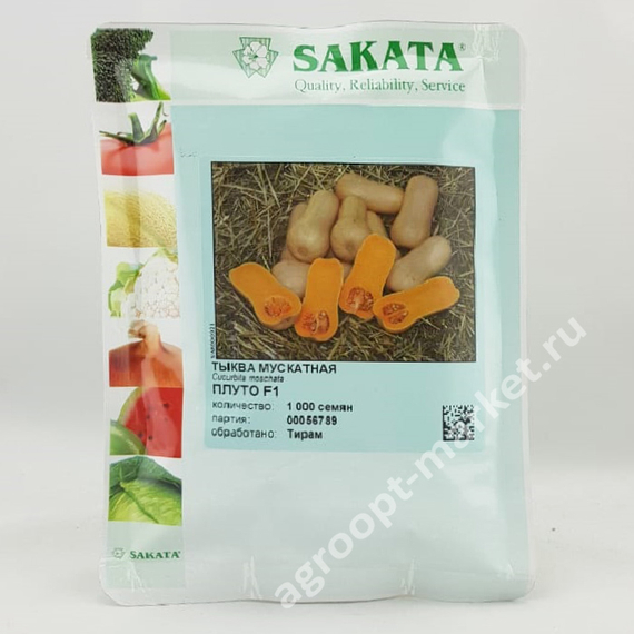 Плуто F1 семена тыквы (Sakata / Саката) – фото 2