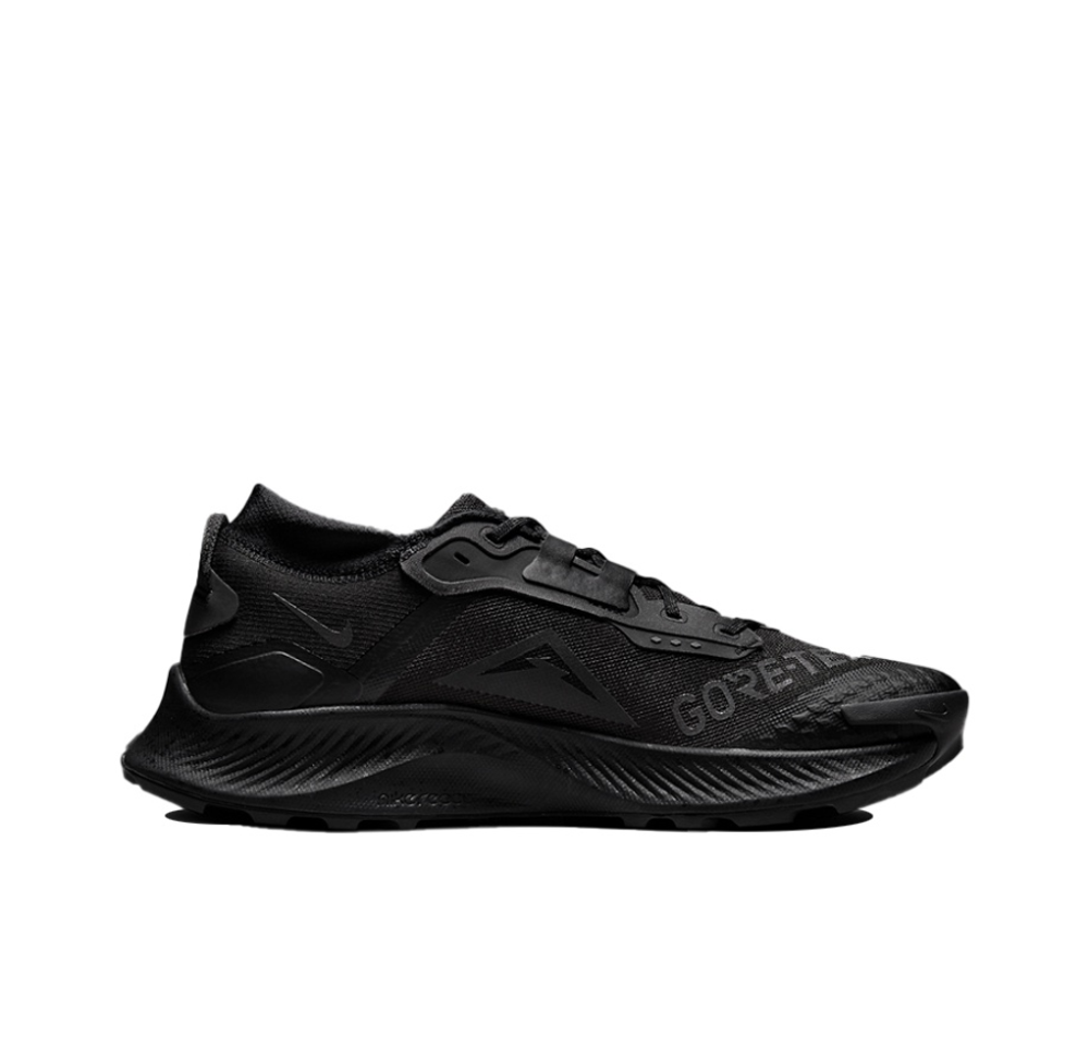 Мужские кроссовки Nike Pegasus Trail 3 Gore-tex 'Black' DC8793-001