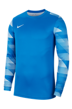Вратарская кофта Nike Dry Park IV LS GK Детская