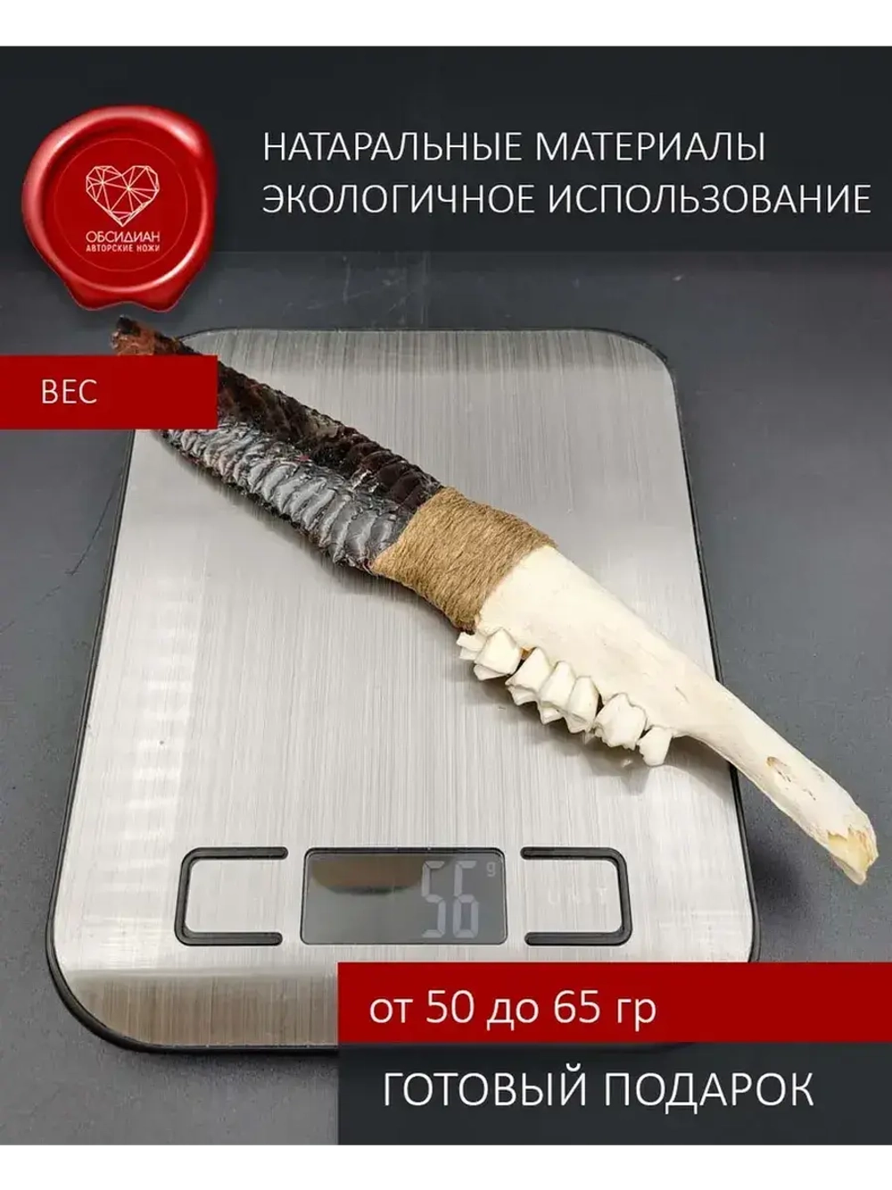 Обсидиановый клинок с челюстью барашка от 21 см