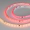 Светодиодная лента Arlight 12W/m 60LED/m 5060SMD разноцветный 5М SPI-SE-B60-10mm 24V 039601