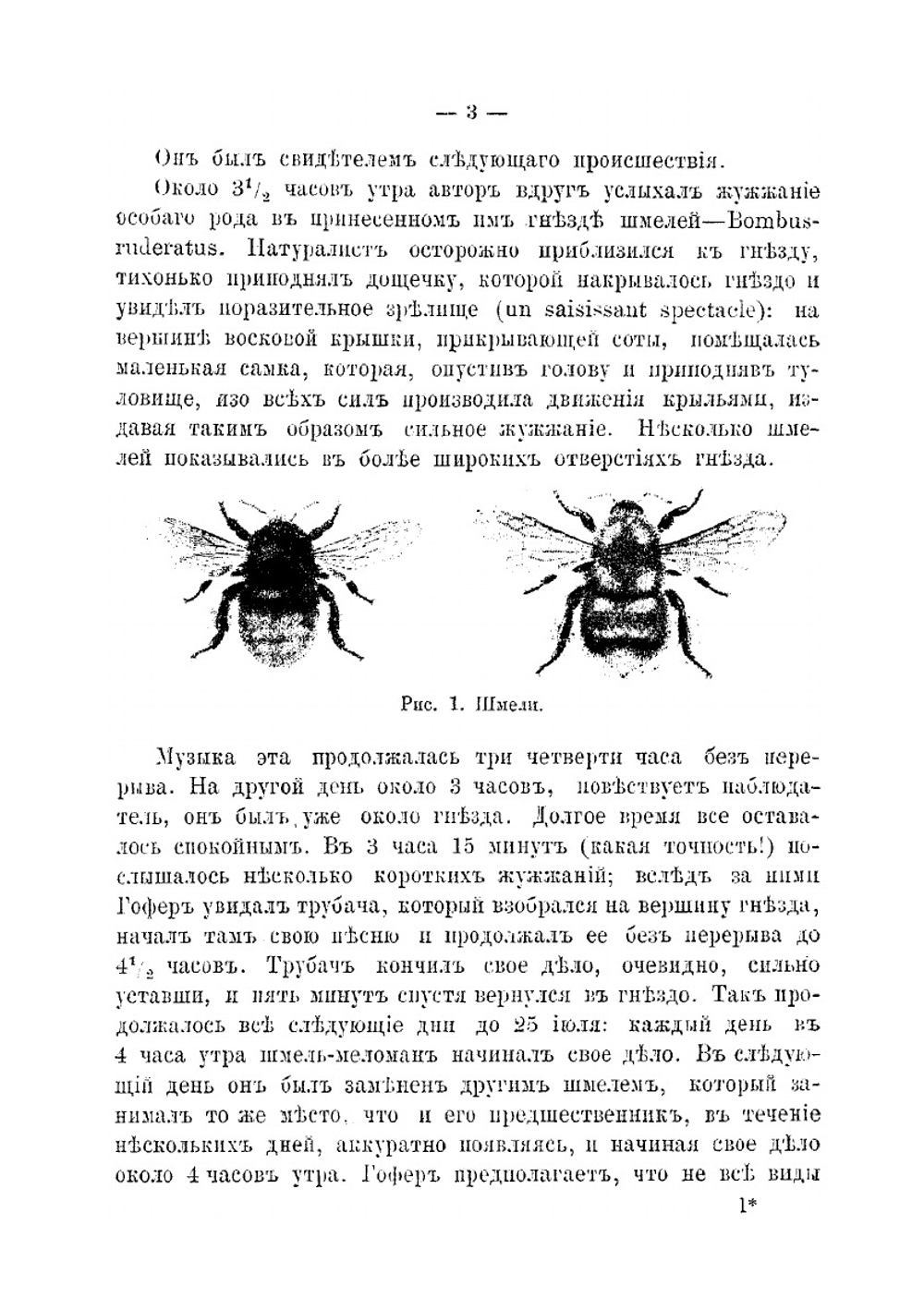 Что такое инстинкт | В.А. Вагнер