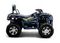 Квадроцикл BIZON ZX350
