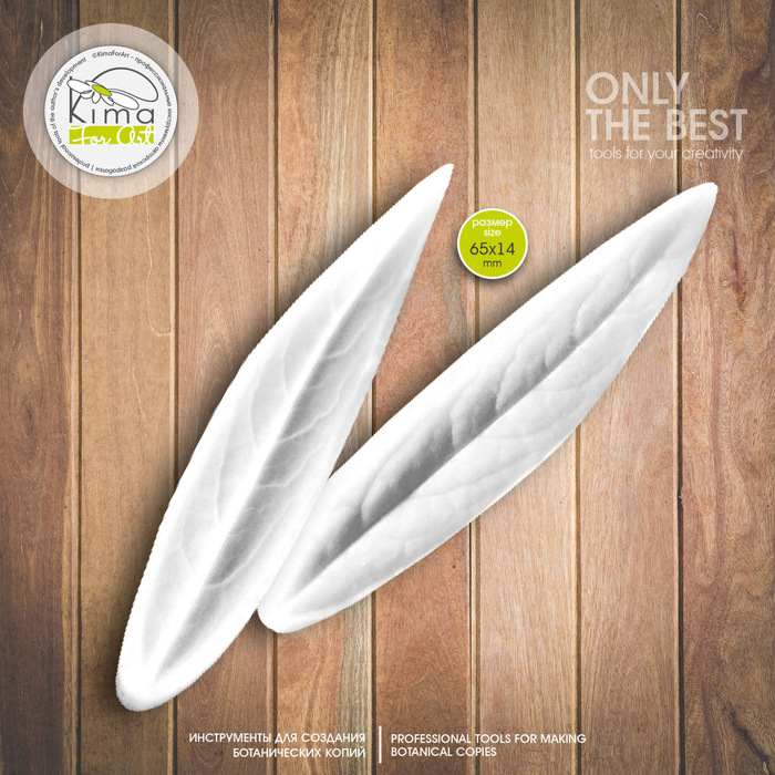 Незабудка лист