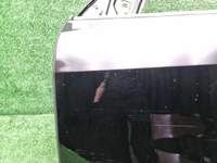 Дверь передняя левая BMW X7 G07 (2019-н.в.)