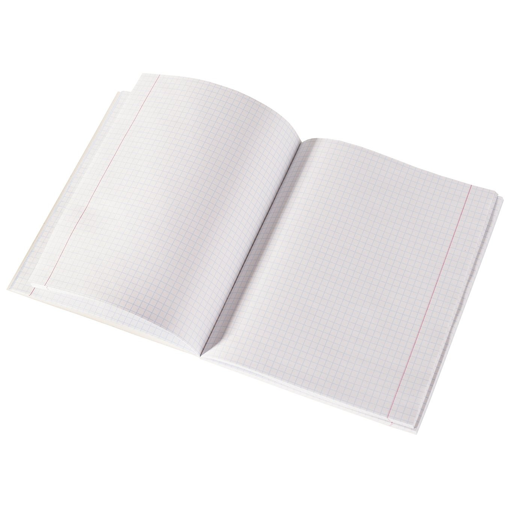 Тетрадь 48л., А5, клетка, Alingar "Positive girls", скрепка, мелованный картон (стандарт), блок офсет, 4 дизайна в пленке т/у