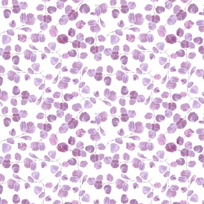 Листья эвкалипта на белом фоне розовые ветви и листья