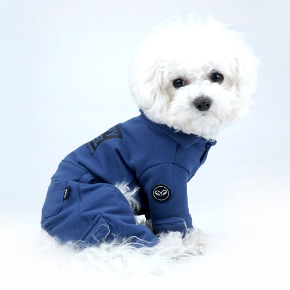 473 Спортивный костюм "Puppy Angel"