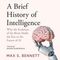 A Brief History of Intelligence