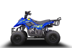 Квадроцикл TIGER 150 Universal RX