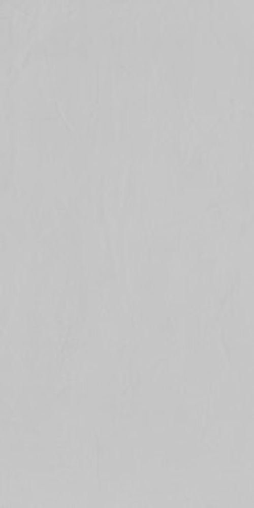 Керамогранит MONOCOLOR Artcolor White (ENMON8019DM60120) DIGI MATT