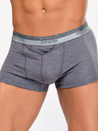 Мужские боксеры с шелковистой брендированной резинкой (Размер: L) (Цвет: серый меланж)