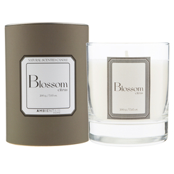 Свеча ароматическая Ambientair Sublime Цитрусовый цвет