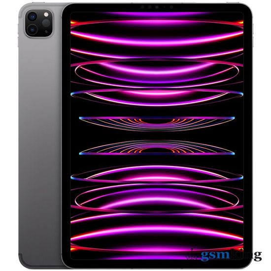 Apple iPad Pro 11-inch M2 2022 2Tb Wi-Fi + Cellular Space Gray MP5G3