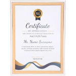 Фоторамка 30*21см «Дипломат» белая с золотистым , пластик