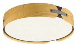 Накладной светильник Sonex Coraggio 7721/100L