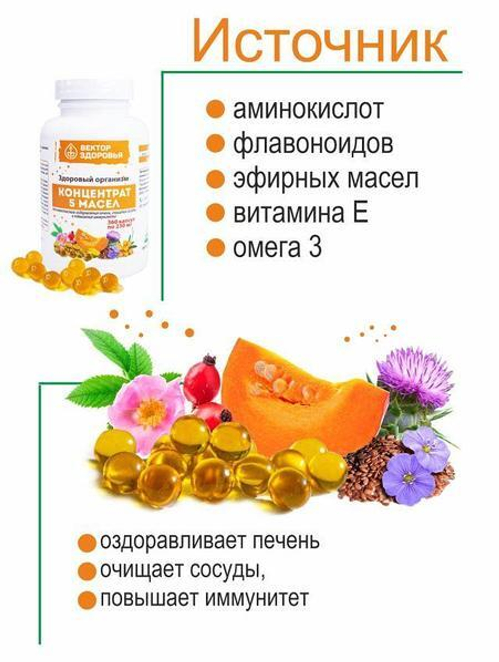 КОНЦЕНТРАТ 5 МАСЕЛ. Здоровый организм для печени, сосудов и иммунитета 360 капсул