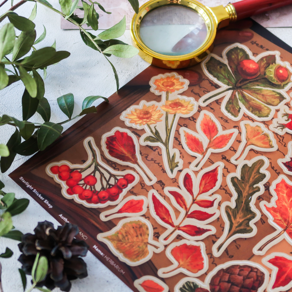 PACK HERBARIUM