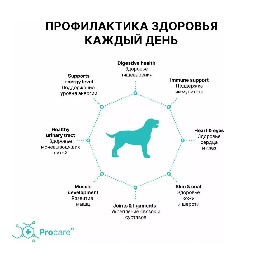 Сухой корм Grandorf DOG 4 Meat PROBIOTIC MINI для взрослых собак мелких пород, 4 мяса с пробиотиками Сухой корм Grandorf DOG 4 Meat PROBIOTIC MINI для взрослых собак мелких пород, 4 мяса с пробиотиками