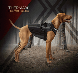 Терможилет Thermax EzyDog
