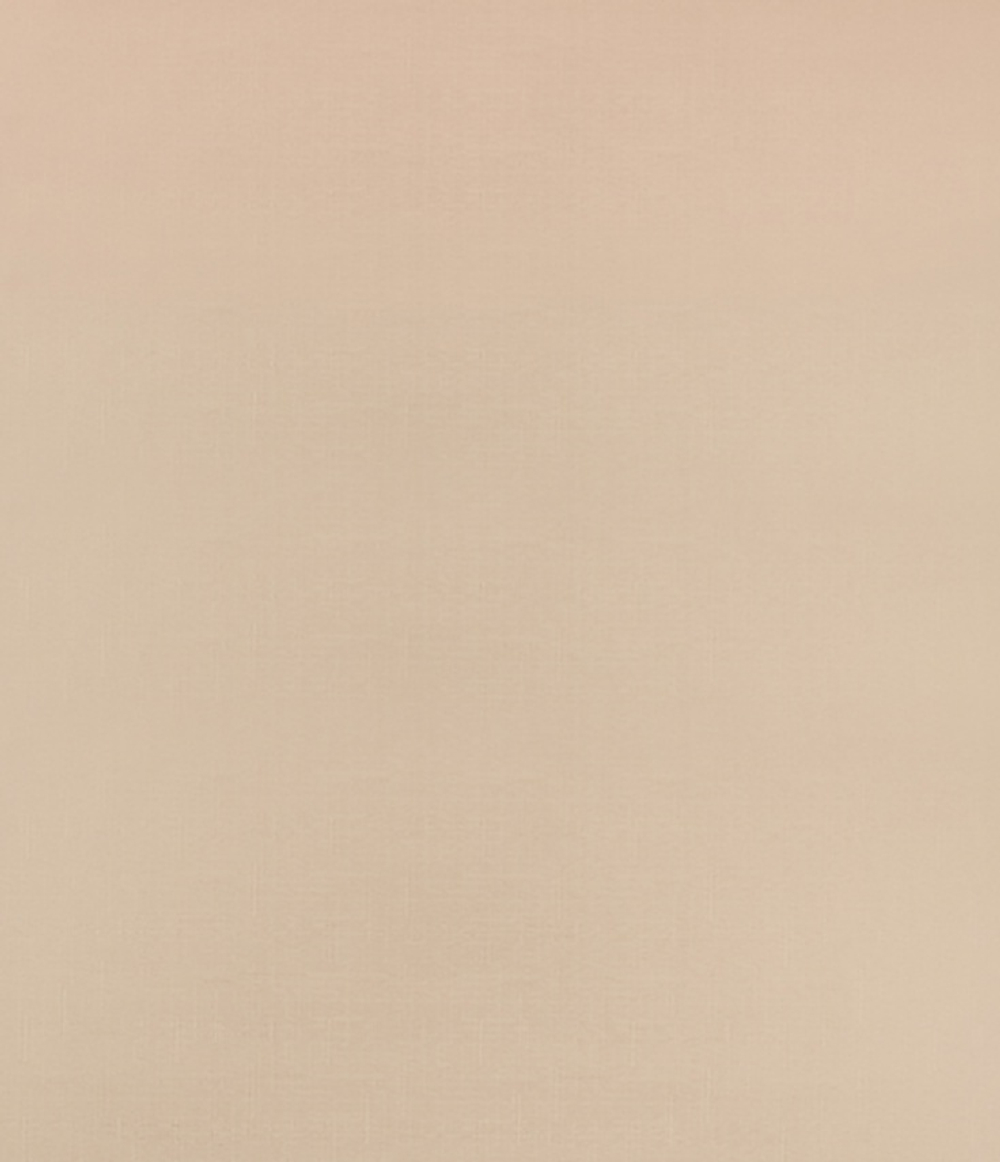 Рулонные шторы Декор Пудра