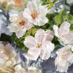 GUERLAIN Aqua Allegoria Flora Cherrysia Туалетная вода с многоразовым флаконом для женщин