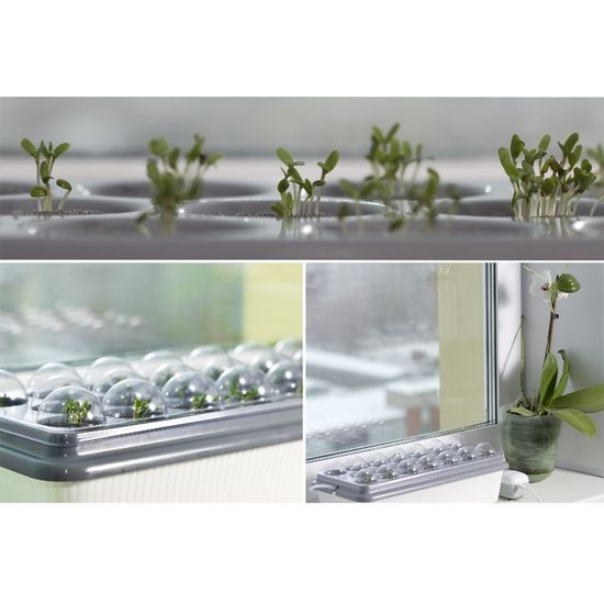 Гидропонная установка Здоровья КЛАД Домашняя чудо-грядка