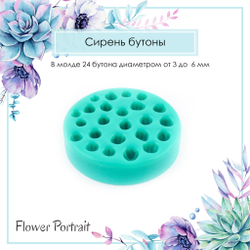 Сирень бутоны