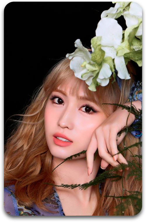 Карта #4336 / Momo (TWICE)