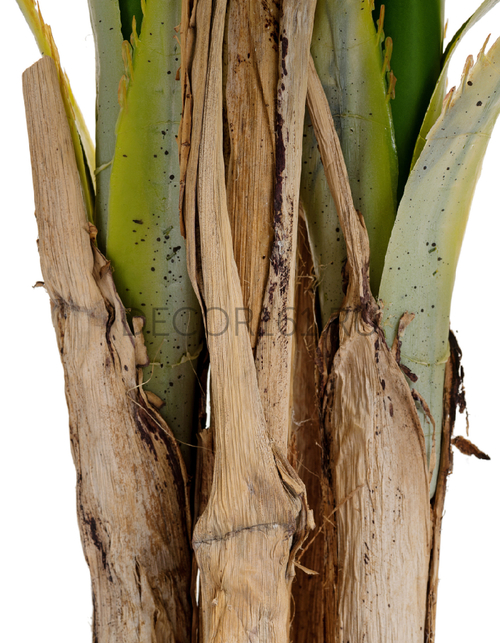 Пальма Арека Катеху де Люкс в-190 см 5 стволов 39 листов (Sensitive Botanic) 2/2 10.071923N