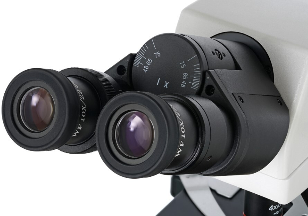 Микроскоп  Levenhuk MED 45B