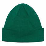 TOA5FW1NL1 Шапка The North Face Norm Beanie Green