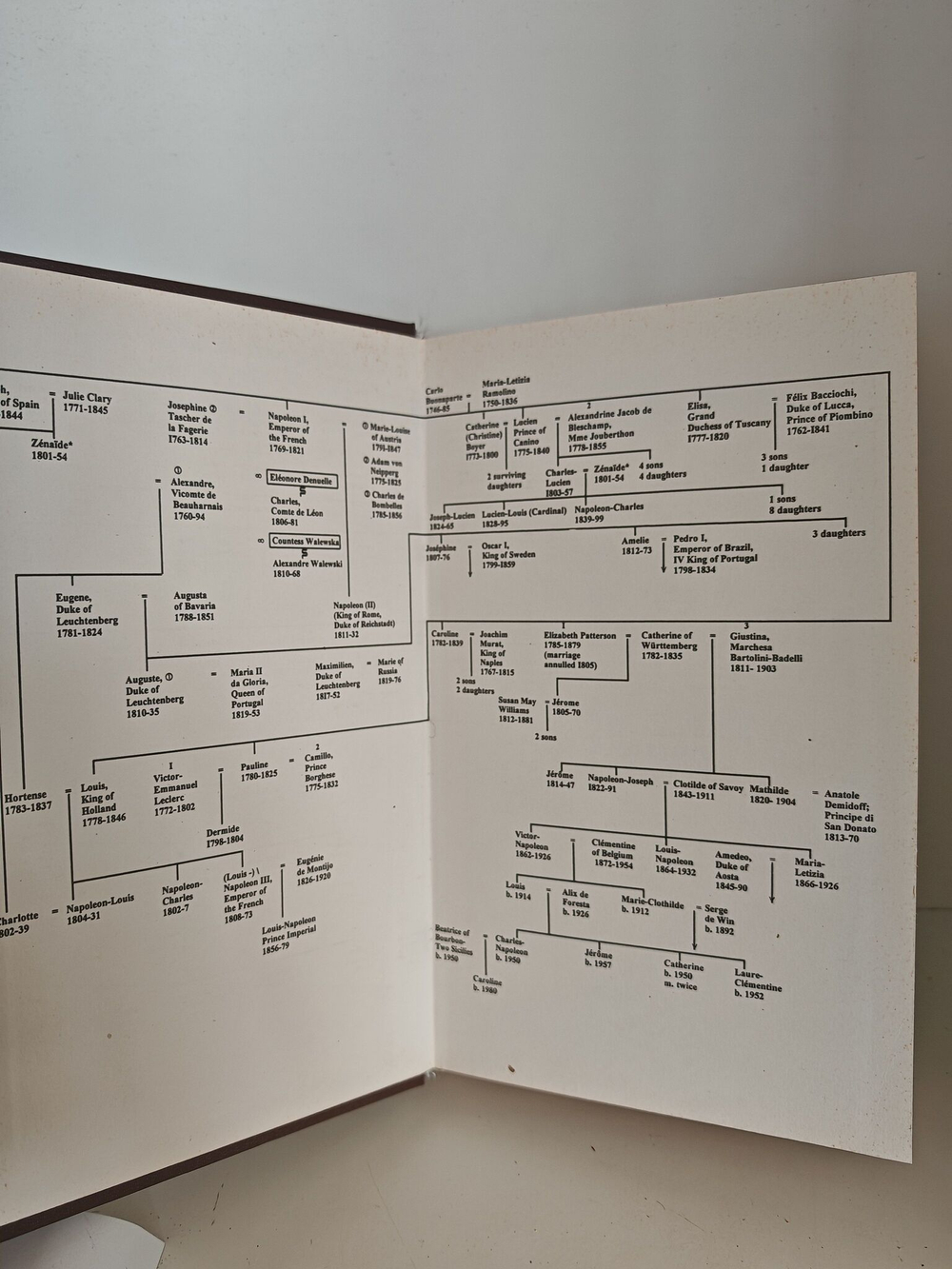 Семья Наполеона