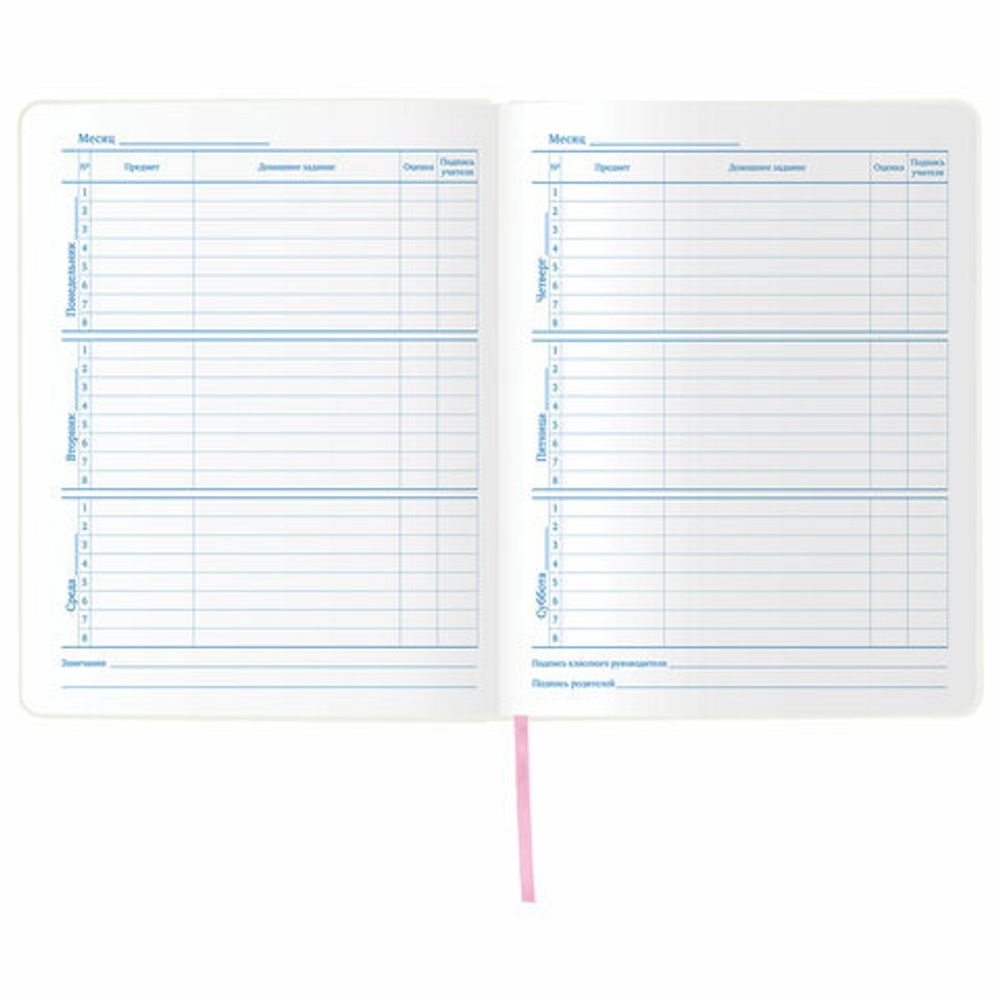 Дневник 1-11 класс 48 л., кожзам (гибкая), печать, фольга, BRAUBERG, "ПАСТЕЛЬНЫЙ", 105972