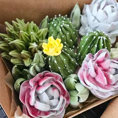 Зефир «Кактусы» / 24*16 см