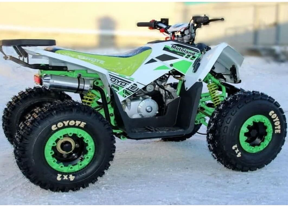Квадроцикл MOTOLAND 125 COYOTE